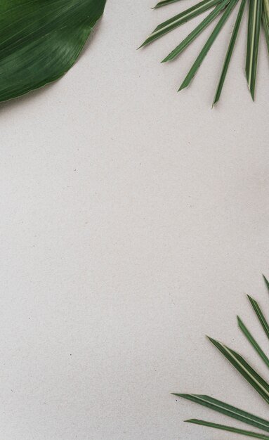 Comprehensive Guide to Crafting Business-Savvy Instagram Story Backgrounds